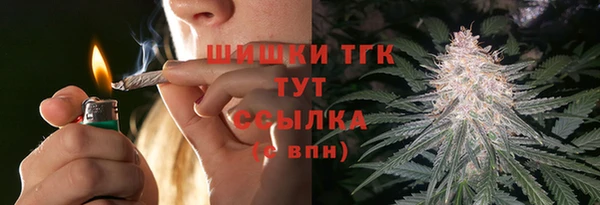 тгк Аркадак