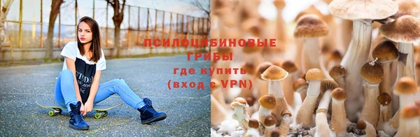 Альфа ПВП Армянск