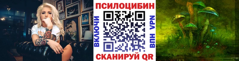Псилоцибиновые грибы Psilocybine cubensis  Всеволожск 