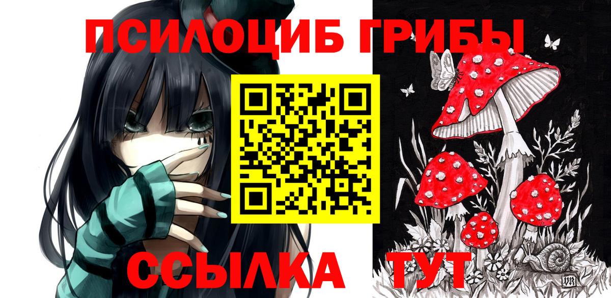 Всеволожск  Псилоцибиновые грибы Psilocybine cubensis  Вход с VPN 