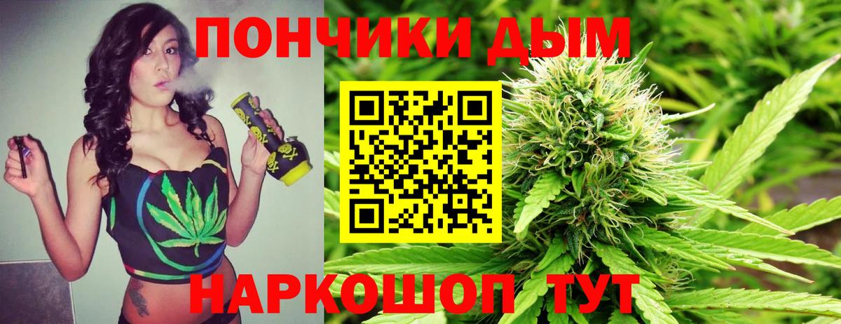 Бошки марихуана семена  Вход с VPN  Всеволожск  Канабис THC 21% 